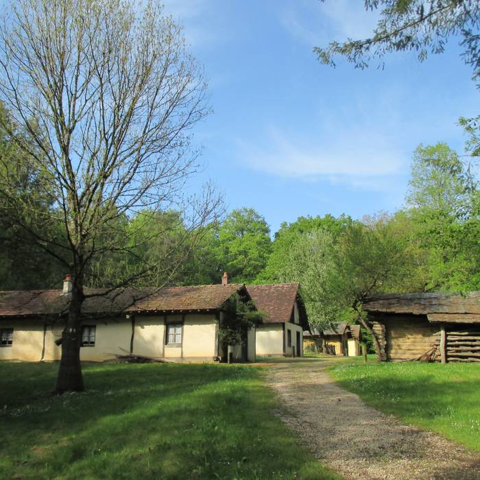 Photo de Borne-colonne N2 de la forêt de Chaux à Augerans